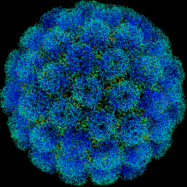 PREVENCION-PARA-VARIOS-TIPOS-DE-CANCER-VACUNA-PARA-NIÑOS