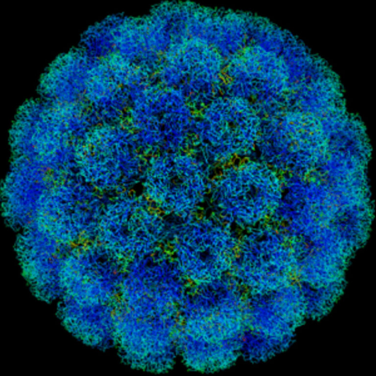 PREVENCION-PARA-VARIOS-TIPOS-DE-CANCER-VACUNA-PARA-NIÑOS