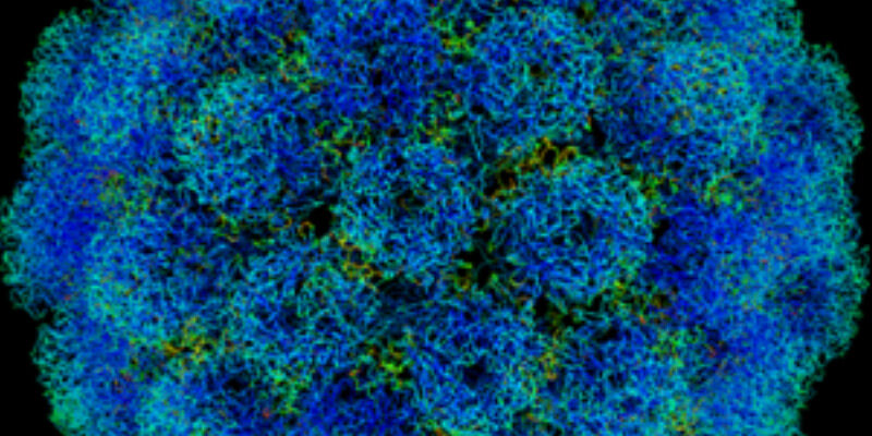 PREVENCION-PARA-VARIOS-TIPOS-DE-CANCER-VACUNA-PARA-NIÑOS