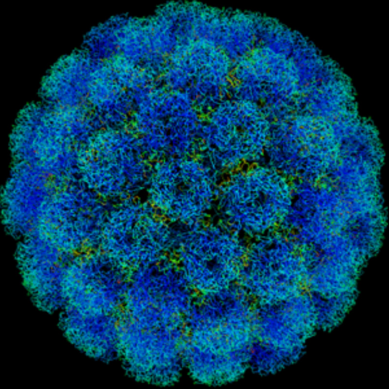 PREVENCION-PARA-VARIOS-TIPOS-DE-CANCER-VACUNA-PARA-NIÑOS