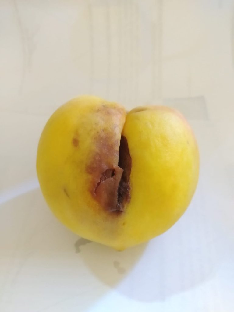 WhatsApp Image 2024-02-16 at 4.44.02 PM salud anal salud sexual